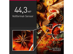 PANASONIC DC-S1RM2E Kamera, 7,62 cm Display Touchscreen, WLAN – Bild 5